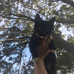 Meet your Posher, Ari